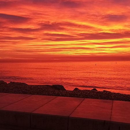 Bel Appartement Les Pieds Dans L'Eau Villeneuve-Loubet Exterior foto