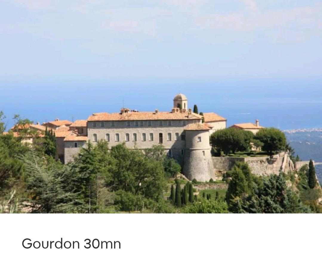 Bel Appartement Les Pieds Dans L'Eau Villeneuve-Loubet Exterior foto
